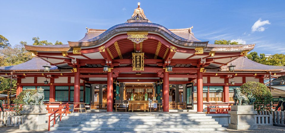 ふくまねき tweet media