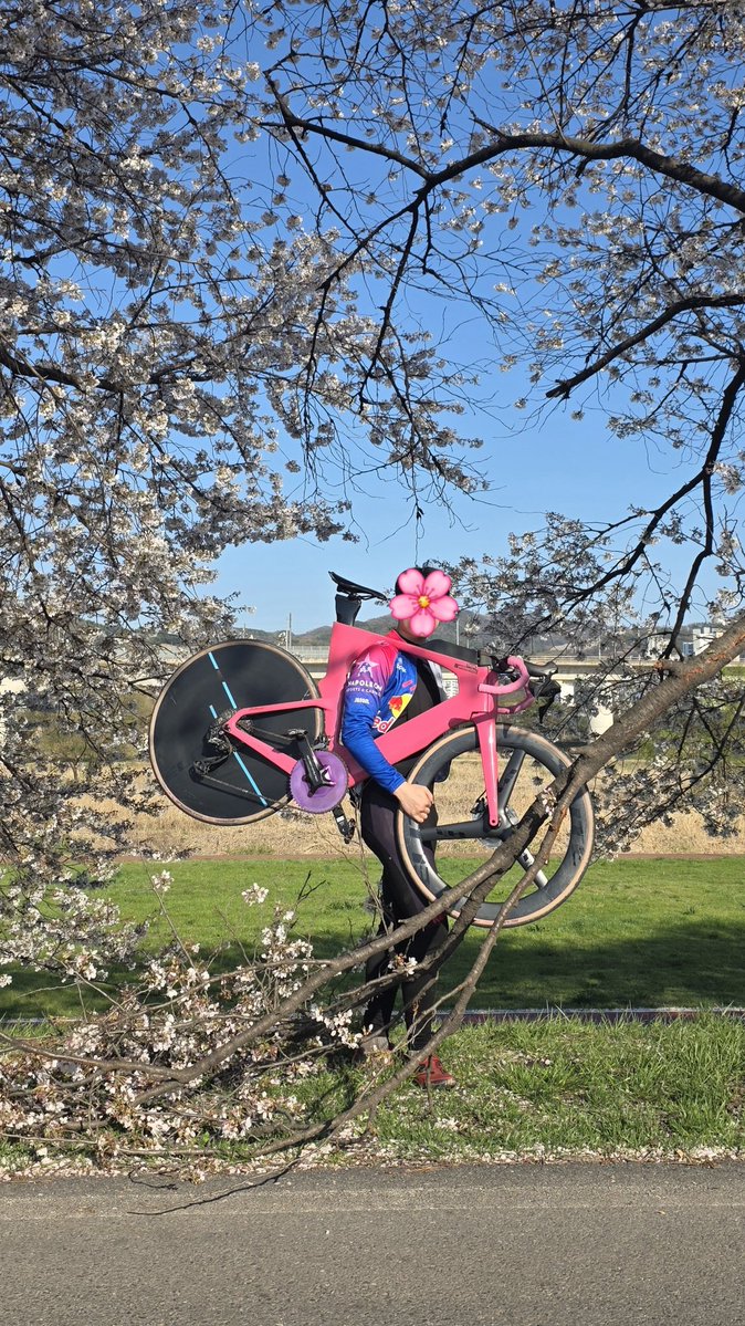 ์ ์ํ tweet media