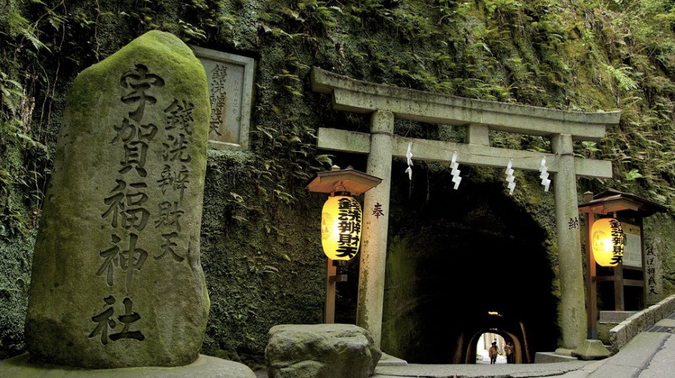 ふくまねき tweet media