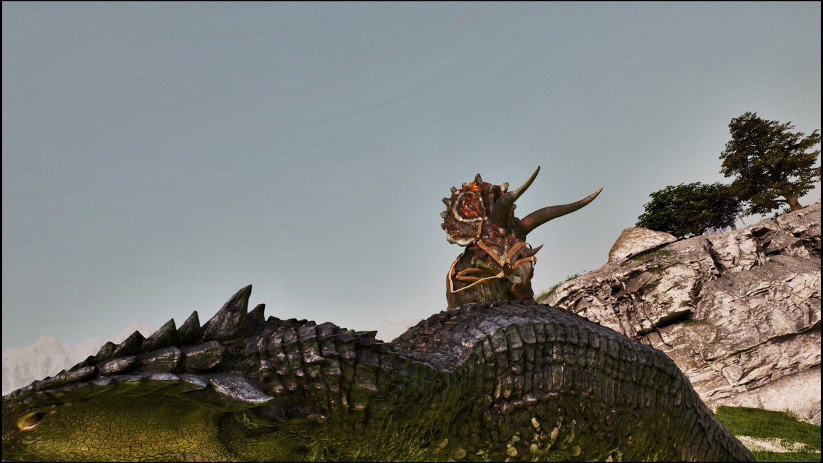 おかか tweet media