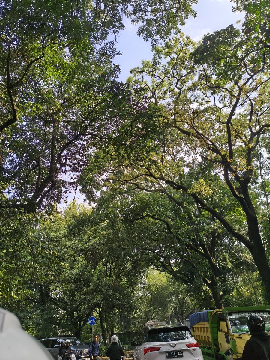 ali-fari! 🇵🇸 tweet media