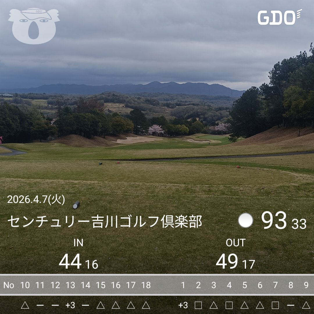 神戸のとらきち tweet media