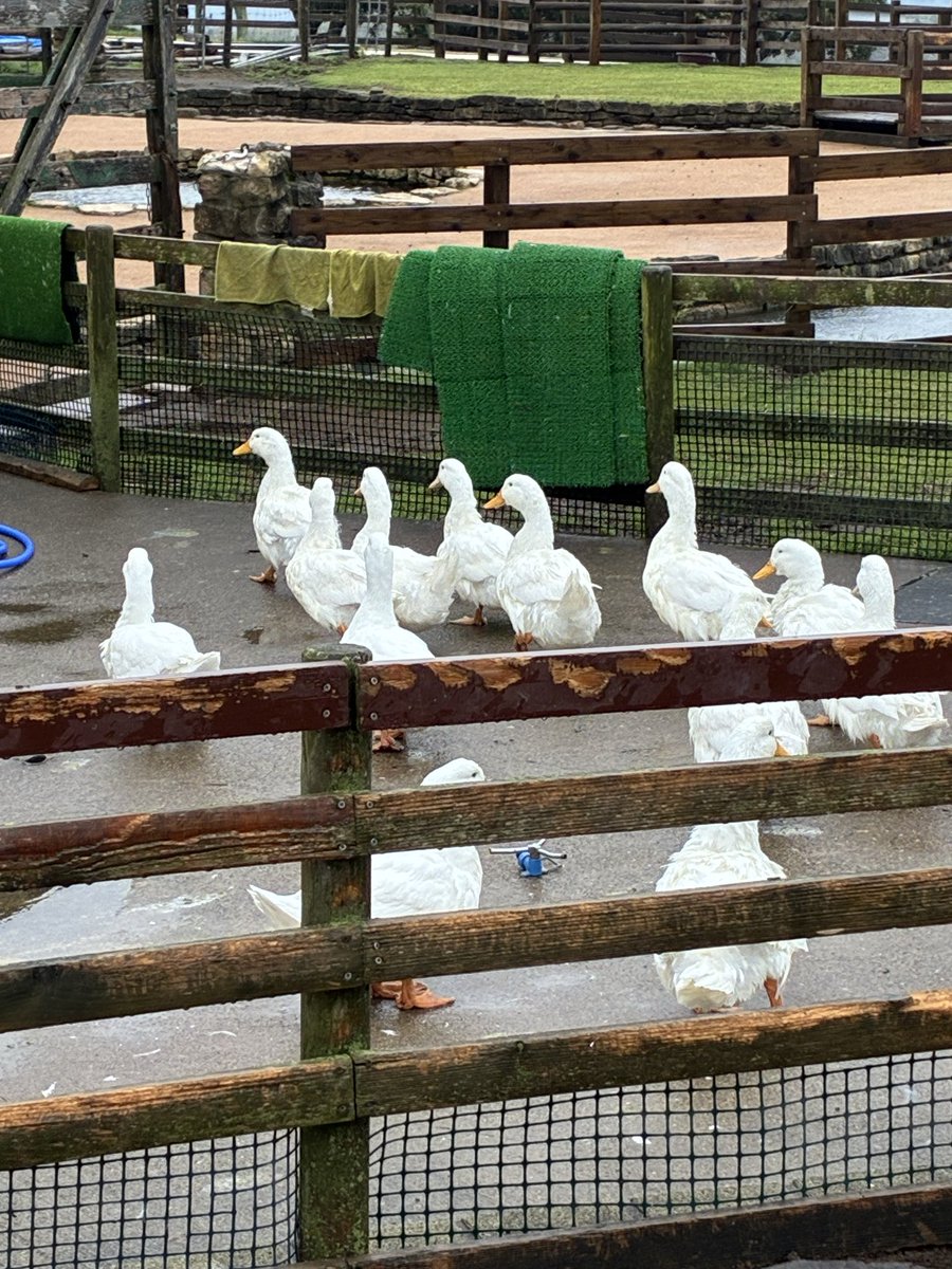 あいらぶとまと！！ tweet media