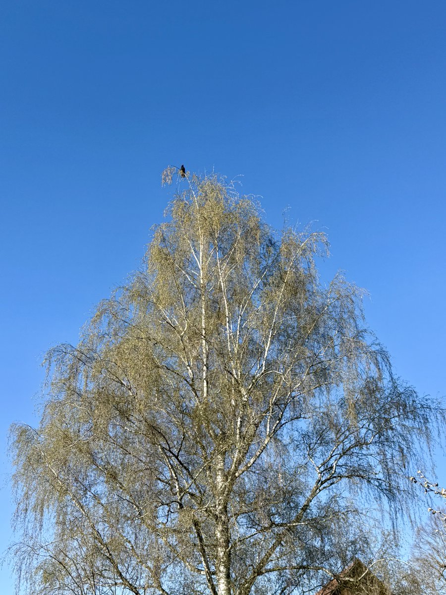 UnsinkbarZwei tweet media