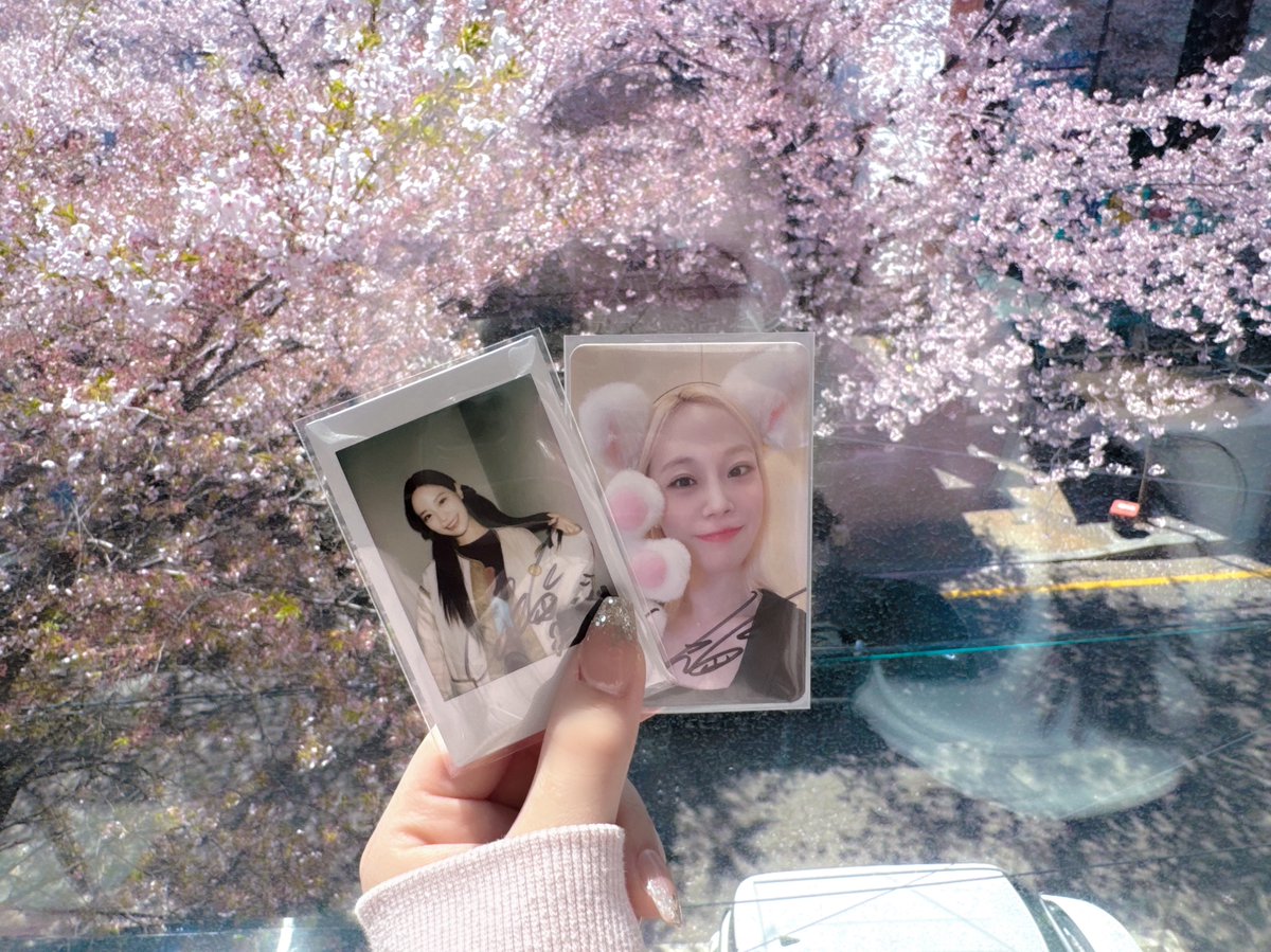 너무 이쁘다😻