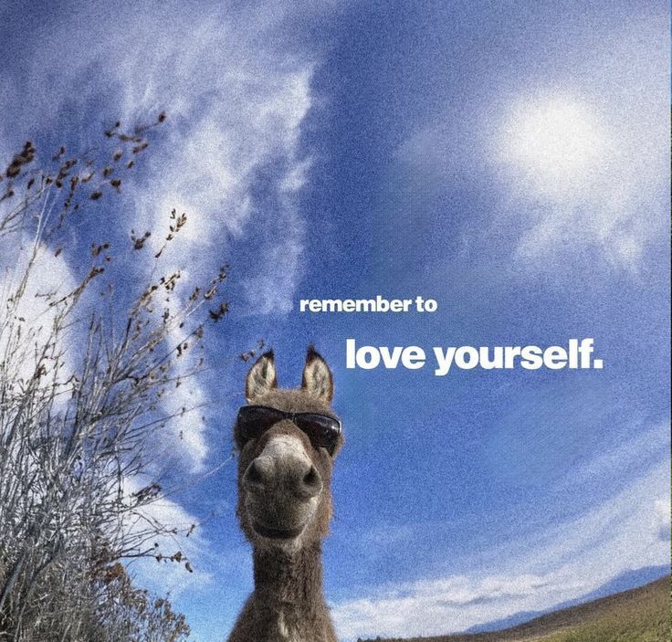 0xSpartan 🦇 tweet media