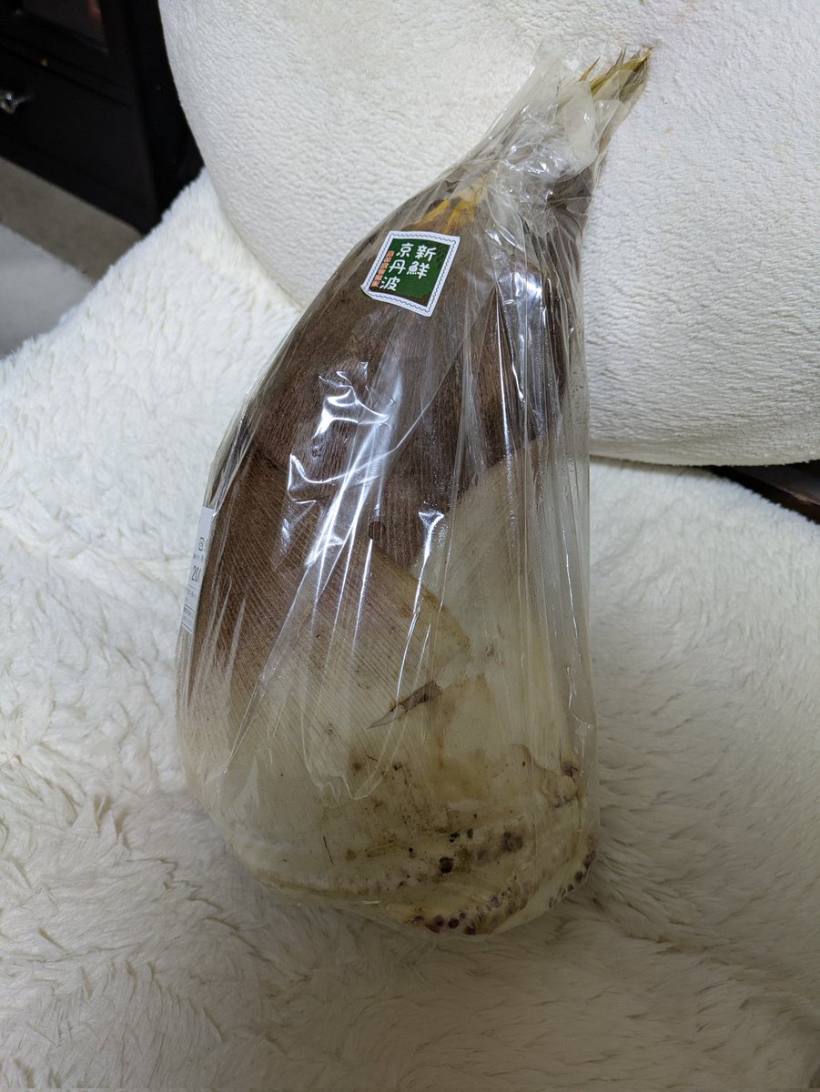 世菜 \(๑╹◡╹๑)ノ♬隅っ子 tweet media