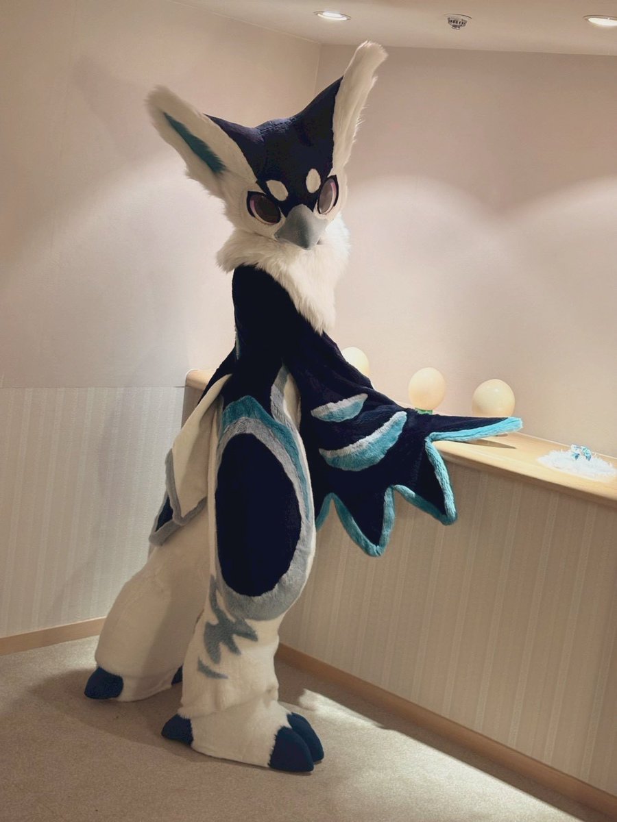 Yuki(Calluna) tweet media