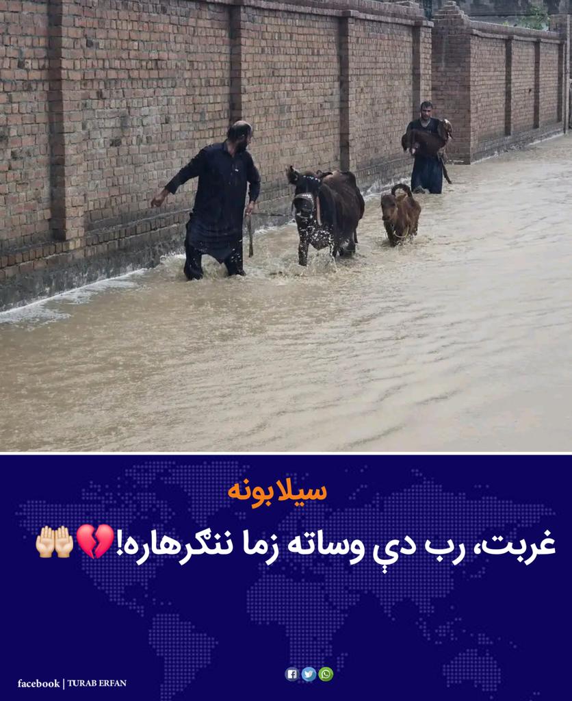 توراب عرفان (Turab Irfan) tweet media