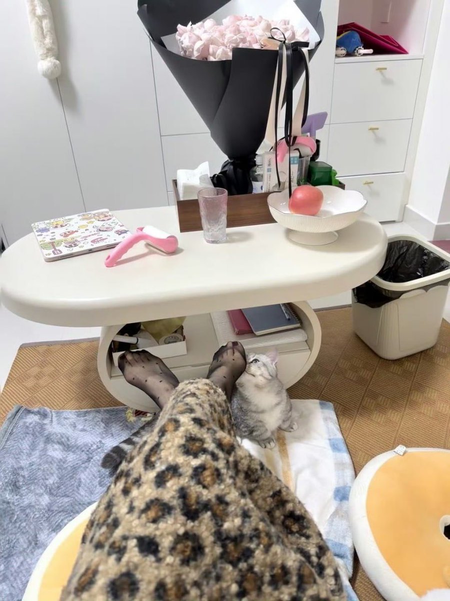 HotzWalster's tweet photo. 小猫好像对我的脚很上头，你会上头吗？ #揭阳 https://t.co/WFHXtIYG3P