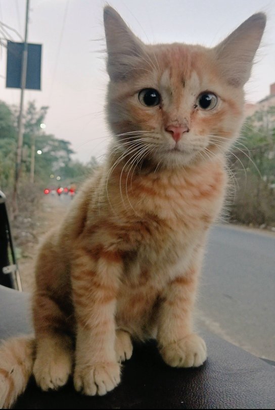 यदुनाथ जवळकर🔥 tweet media