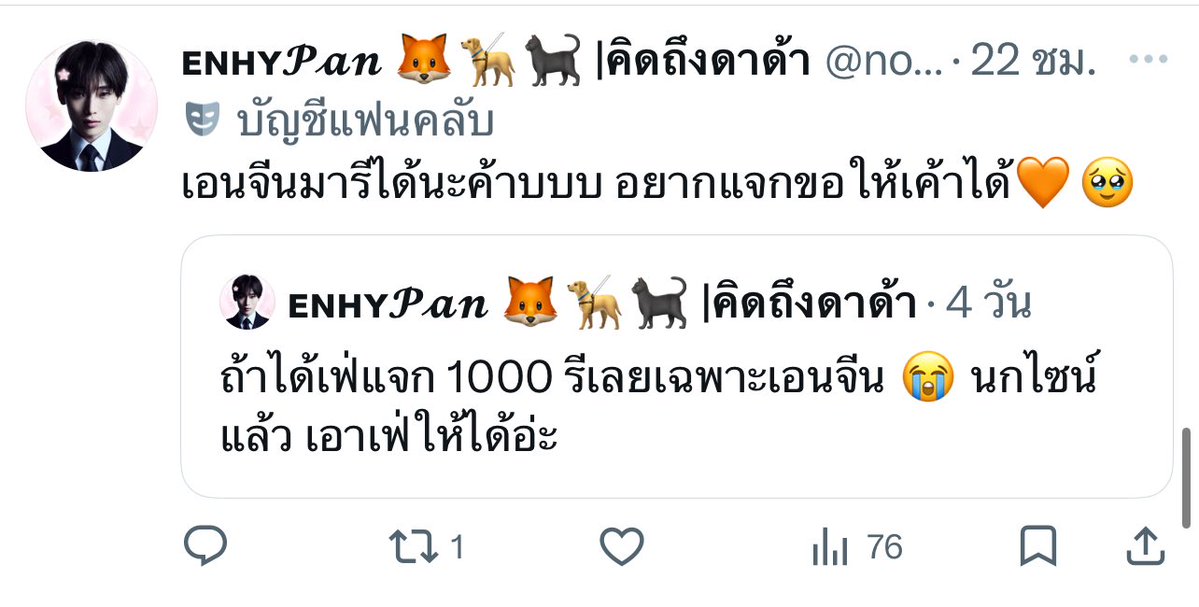 Enhy𝓟𝓪𝓷 🦊🦮🐈‍⬛ tweet media