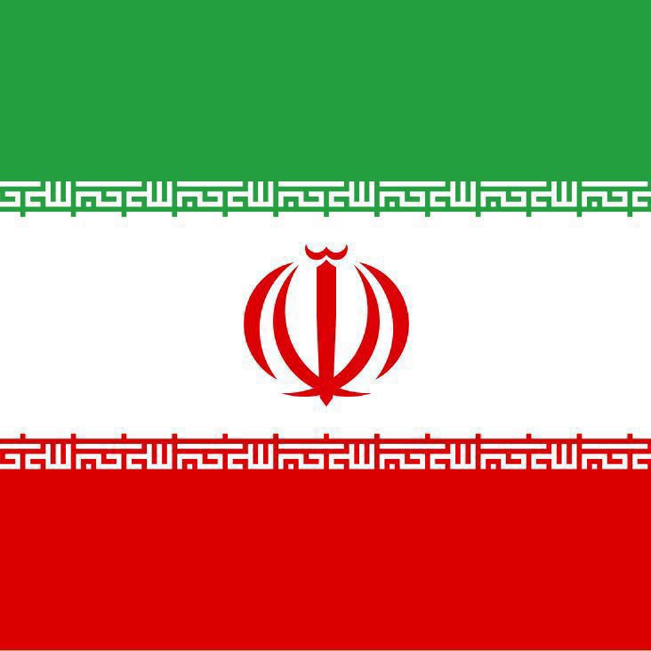 Whale Insider tweet media