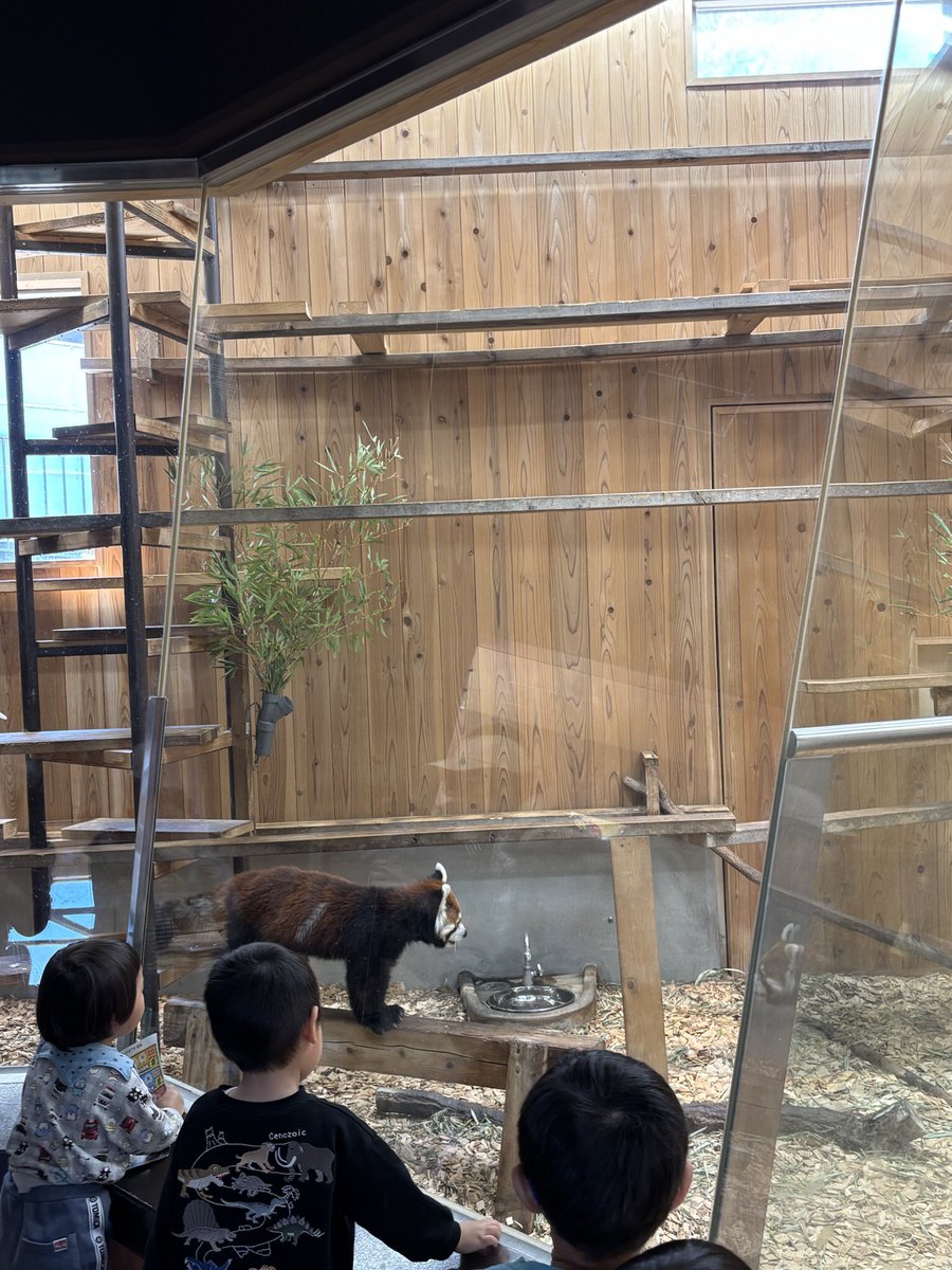 detective tweet media