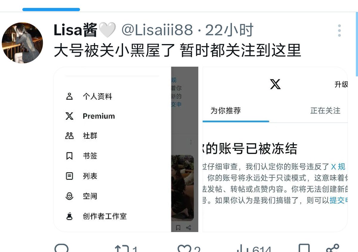 Lisa团队五年运营 tweet media