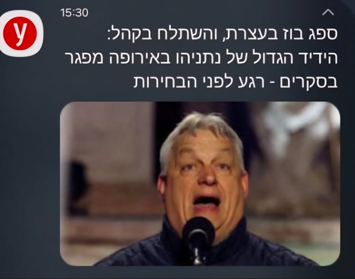 liat carmon tweet media