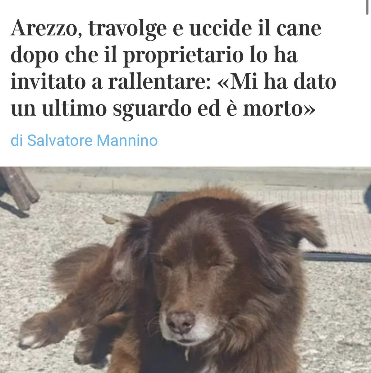 Ultimo Samurai tweet media