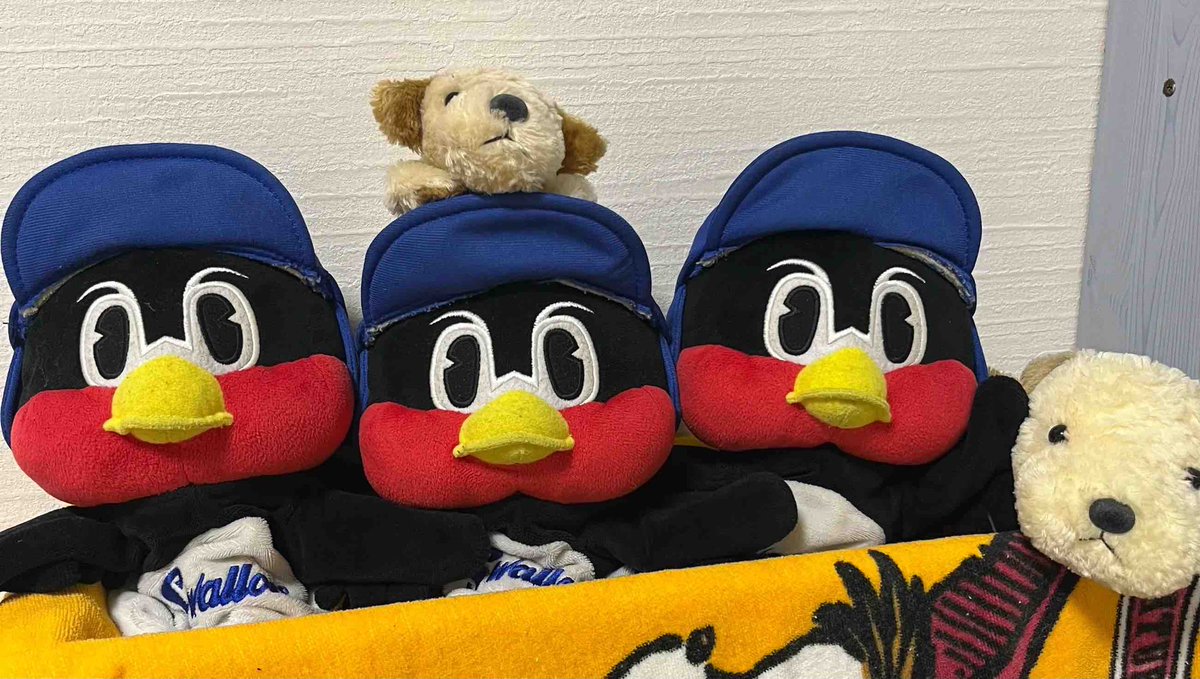 だいちゃん(Da.i) 【だいちゃんの音楽たち】 tweet media