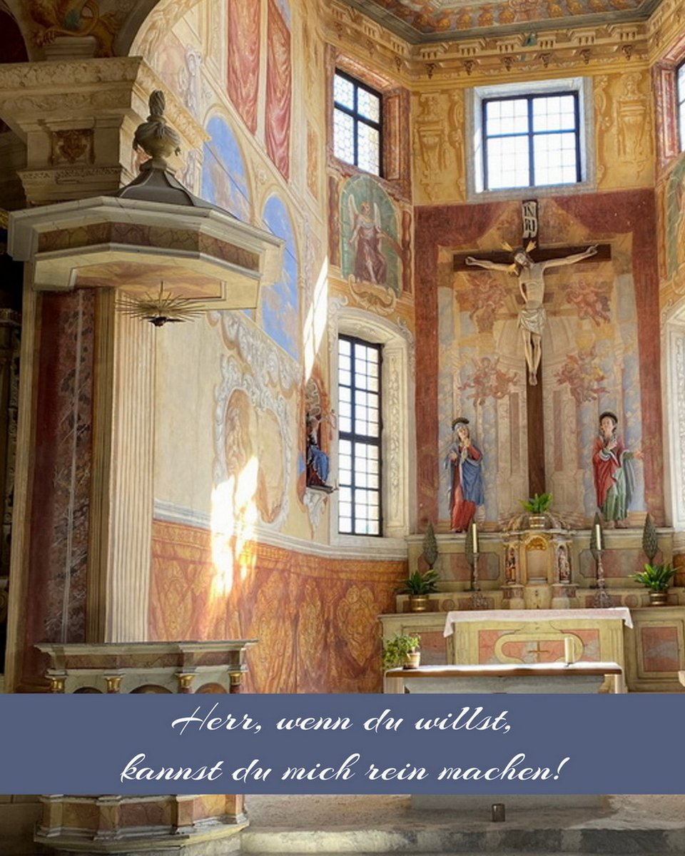 Rosenkönigin tweet media