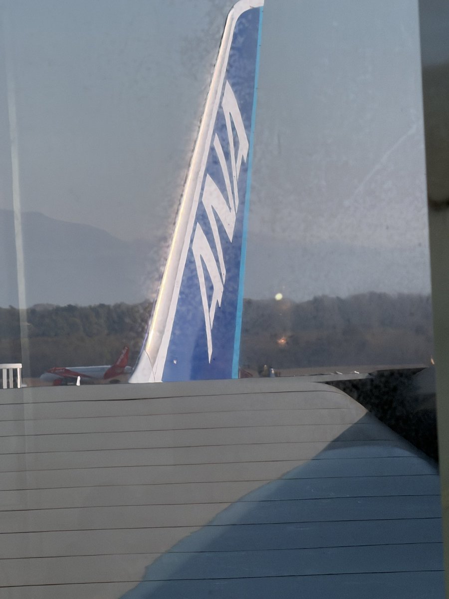 Giulibrivio tweet media