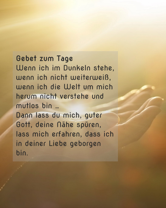 Rosenkönigin tweet media