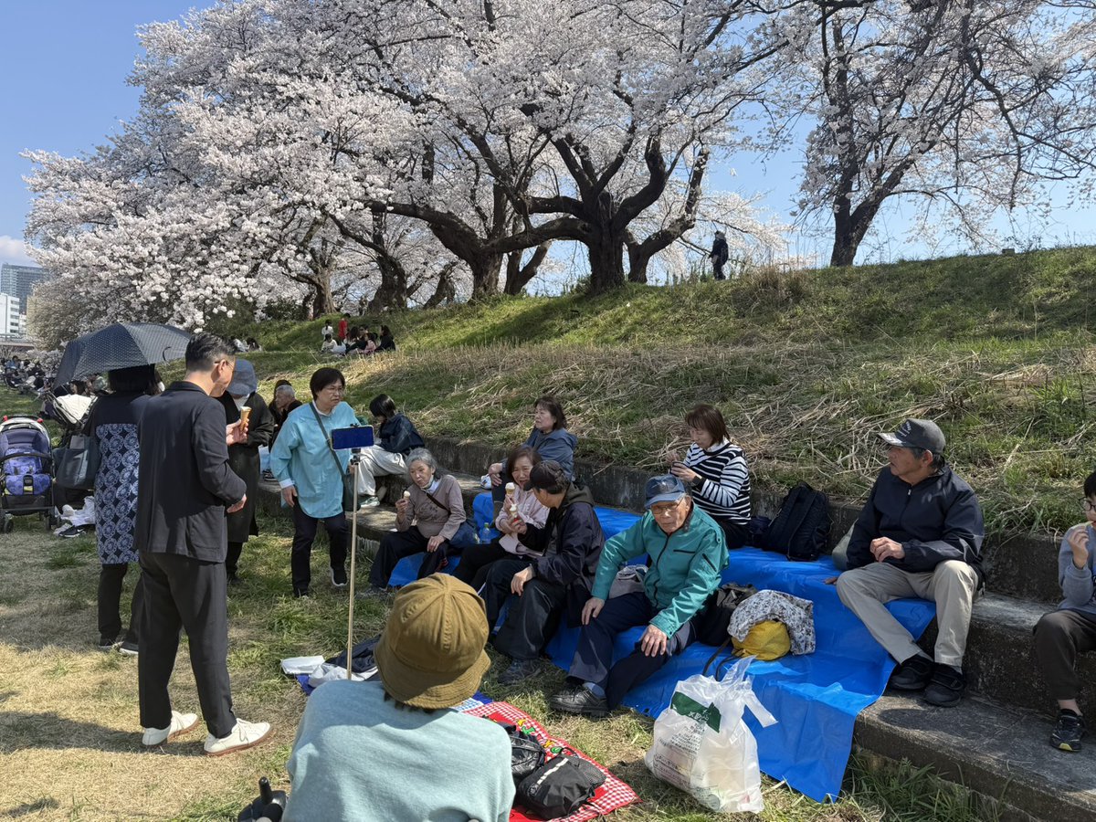 fukui_deaf's tweet photo. 【福井地区ふくみみサロン】
4月3日（金）「モルック体験と桜の花見」を開催🌸
１3名が参加し、モルック体験では初めての方も多く楽しく挑戦！その後、足羽川桜祭りに移動し、満開の桜の下でランチ♪♪ご参加いただいた皆さま、ありがとうございました。次回のふくみみサロンもどうぞ楽しみに！ https://t.co/uvWHWQqDon