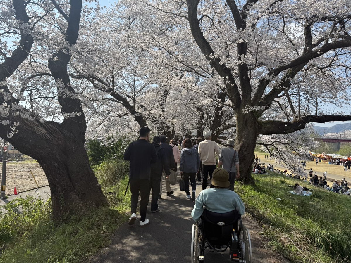 fukui_deaf's tweet photo. 【福井地区ふくみみサロン】
4月3日（金）「モルック体験と桜の花見」を開催🌸
１3名が参加し、モルック体験では初めての方も多く楽しく挑戦！その後、足羽川桜祭りに移動し、満開の桜の下でランチ♪♪ご参加いただいた皆さま、ありがとうございました。次回のふくみみサロンもどうぞ楽しみに！ https://t.co/uvWHWQqDon