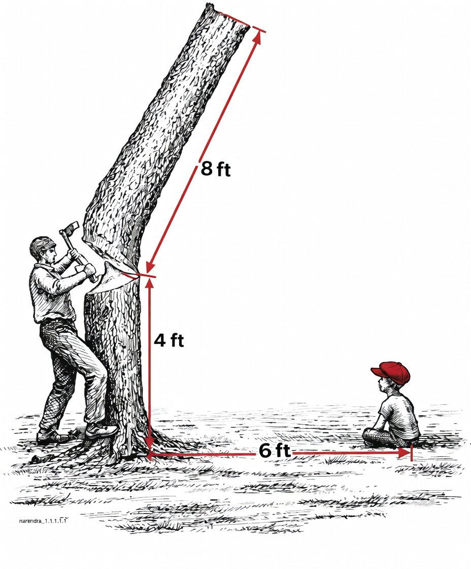 Bayrak Medya tweet media