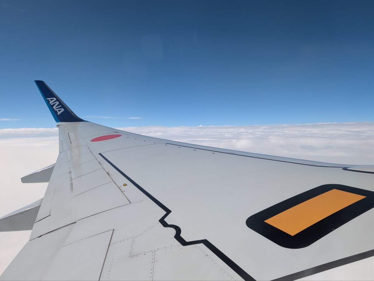 ノザマ@お星さまのお友達 tweet media