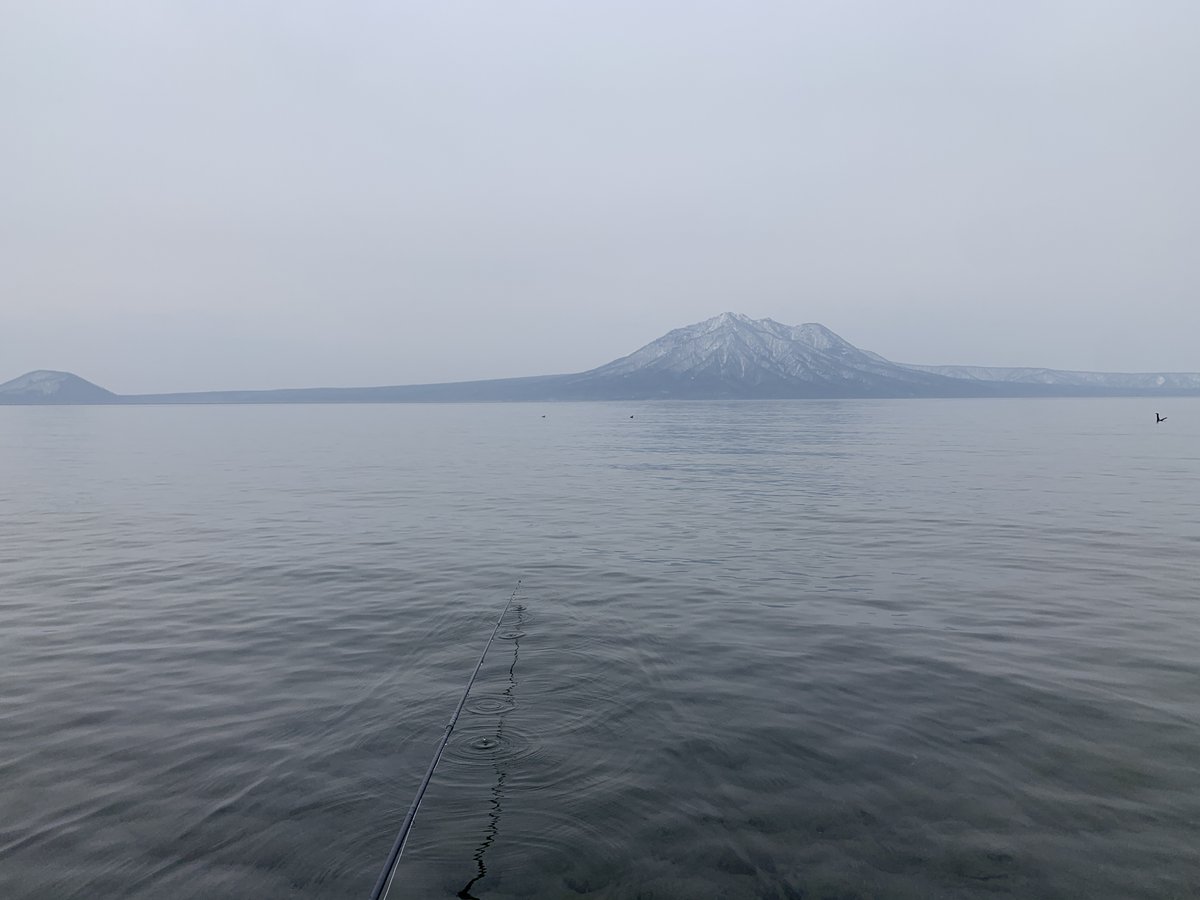 タイニーアングラー tweet media