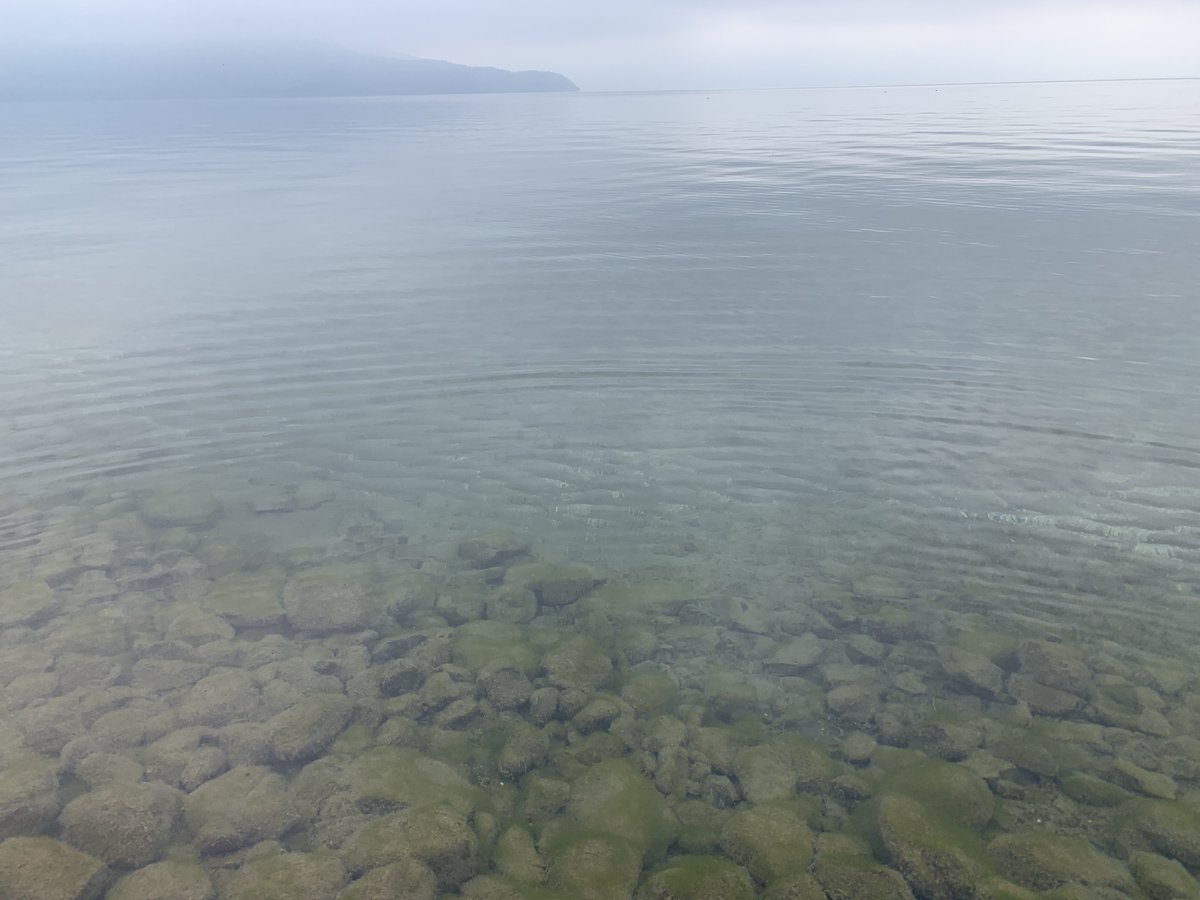 タイニーアングラー tweet media