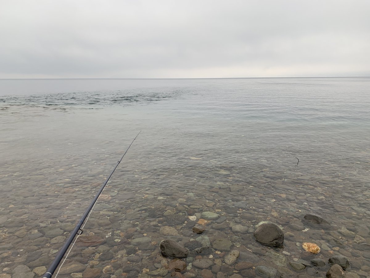 タイニーアングラー tweet media