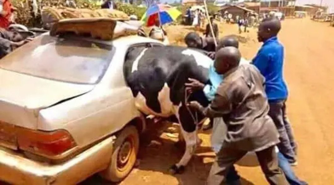 Trace lock 🕹️ tweet media