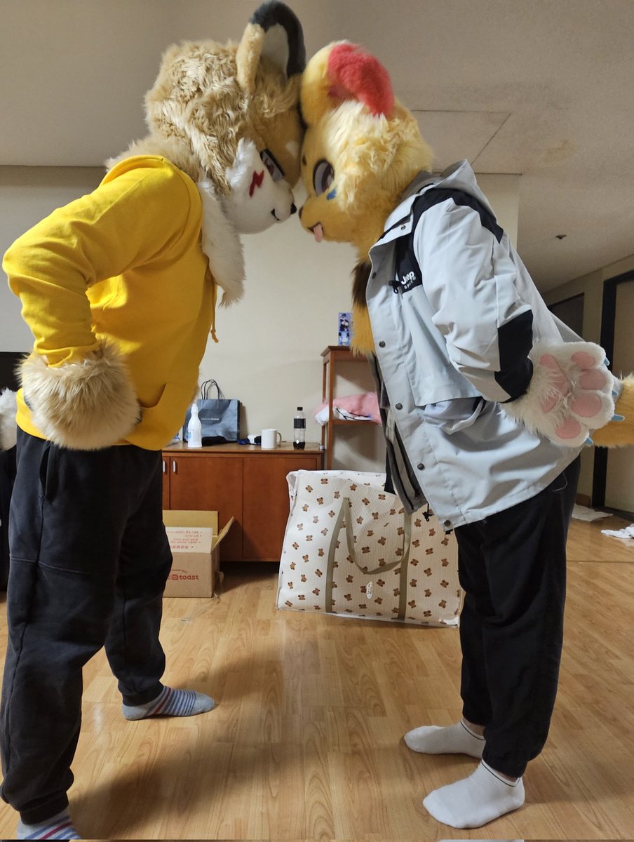 🐾🦝마야🦝🐾 tweet media