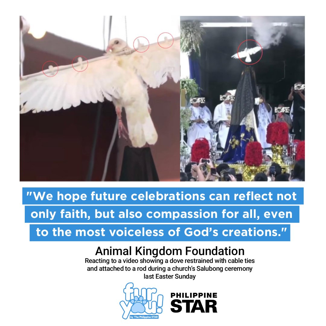 The Philippine Star tweet media