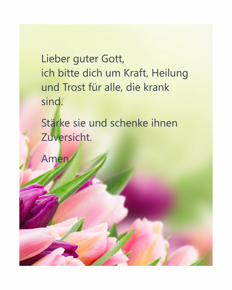 Rosenkönigin tweet media