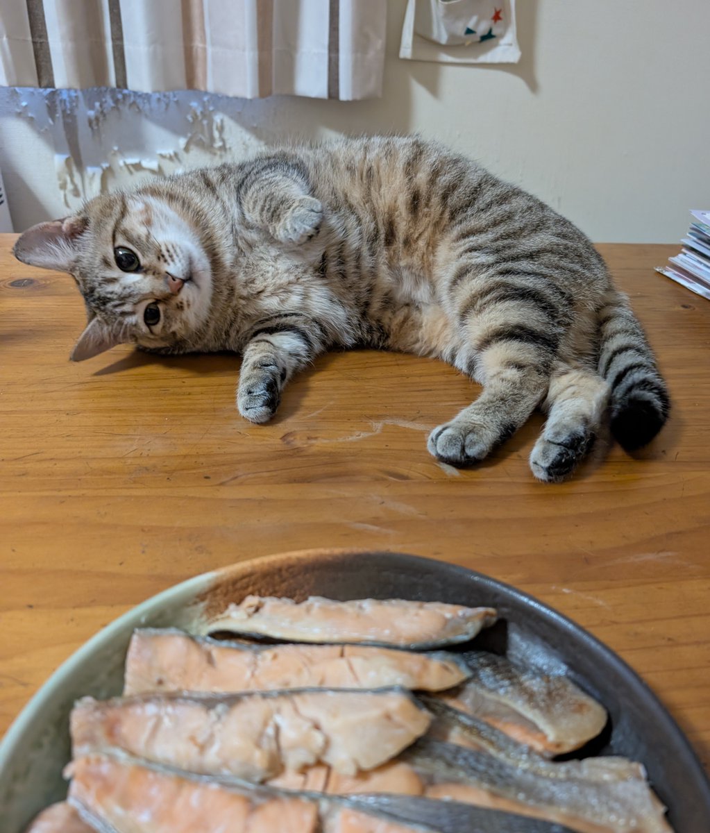 アヴェマナヴ tweet media