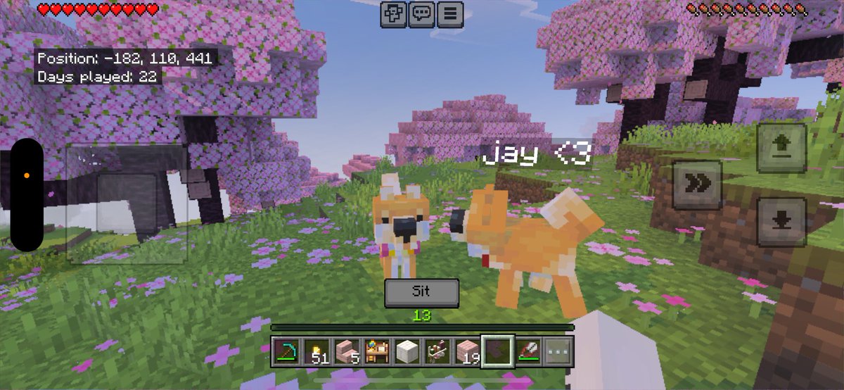 rei 𖥻 bmi whale tweet media