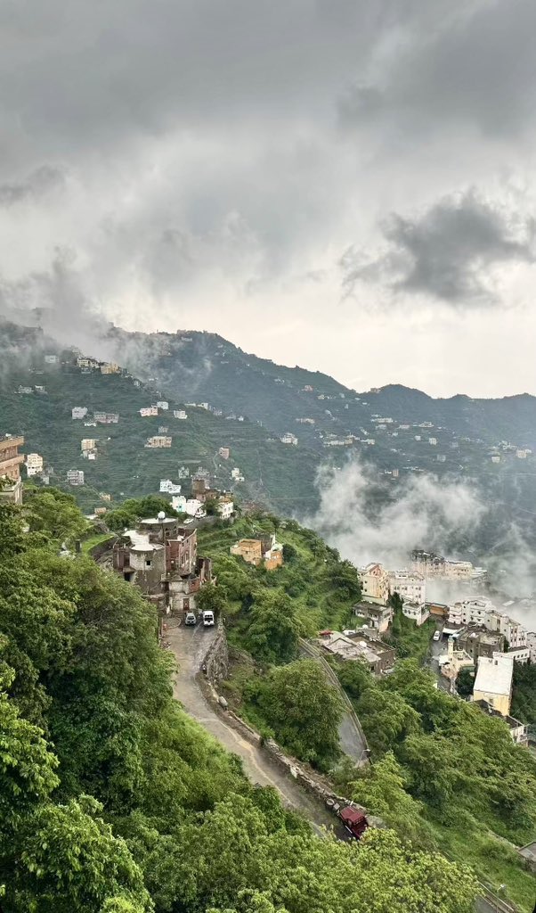 علي الرياني ♿قارب الأحلام tweet media