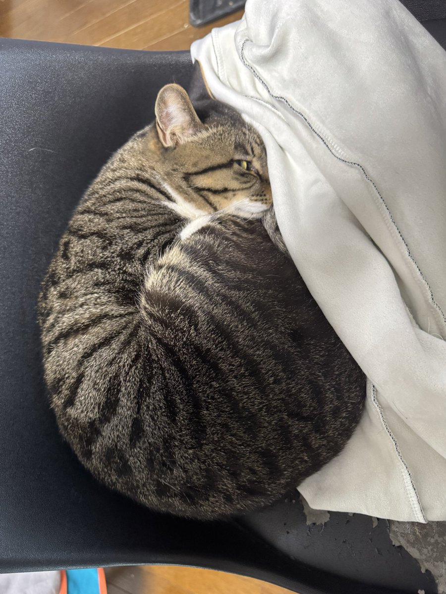 うるふぃ tweet media