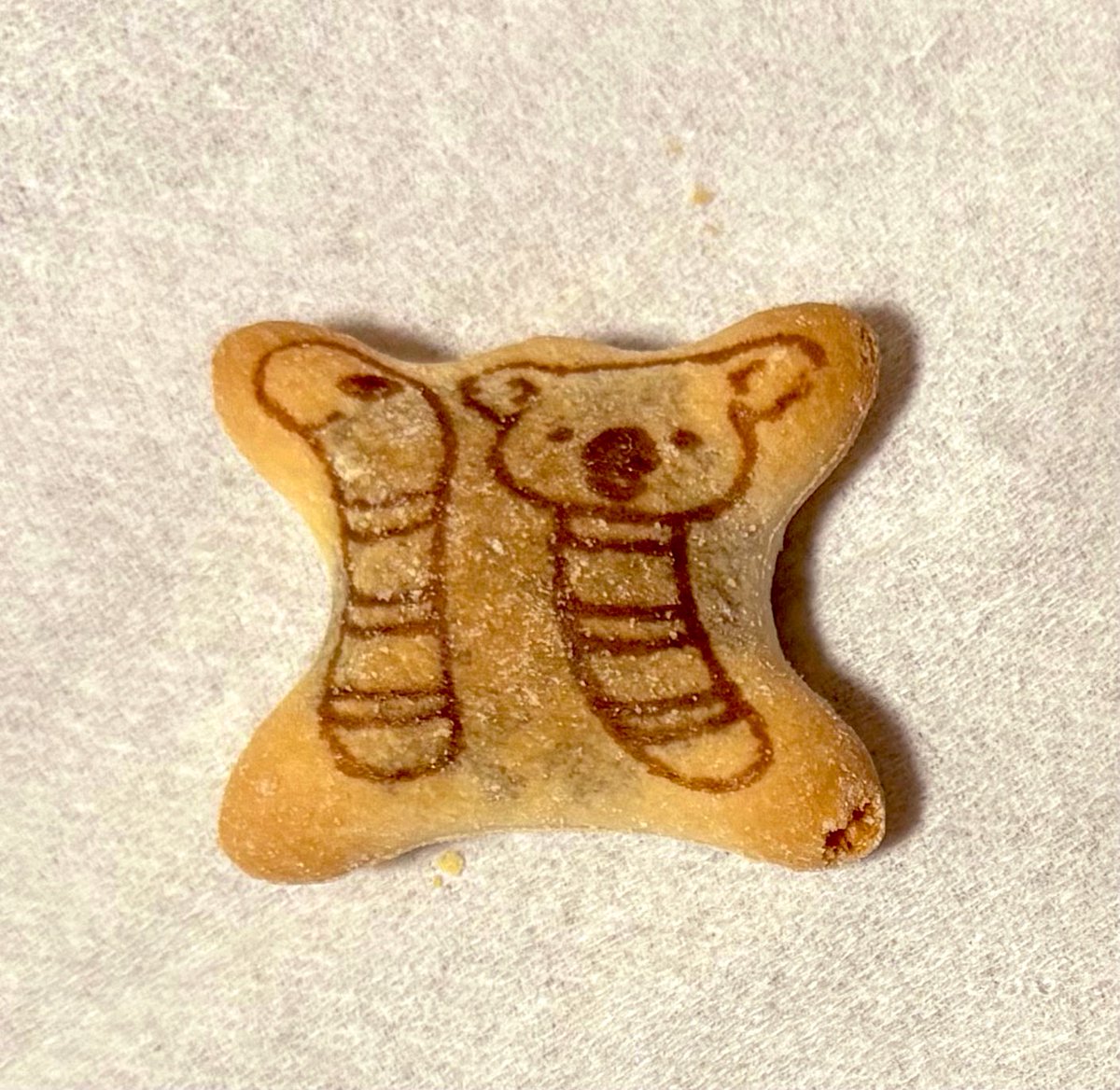 ユキ🎖️ tweet media