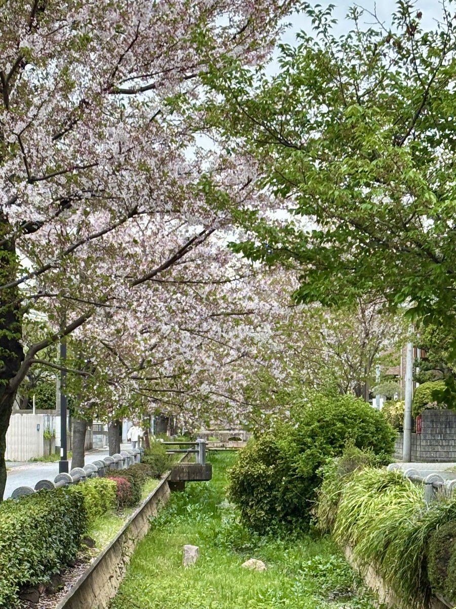 春休みやっと終わるぞー🌸
実家に入学式用のアクセ借りに来たのに、返却するタッパー忘れた…🫠