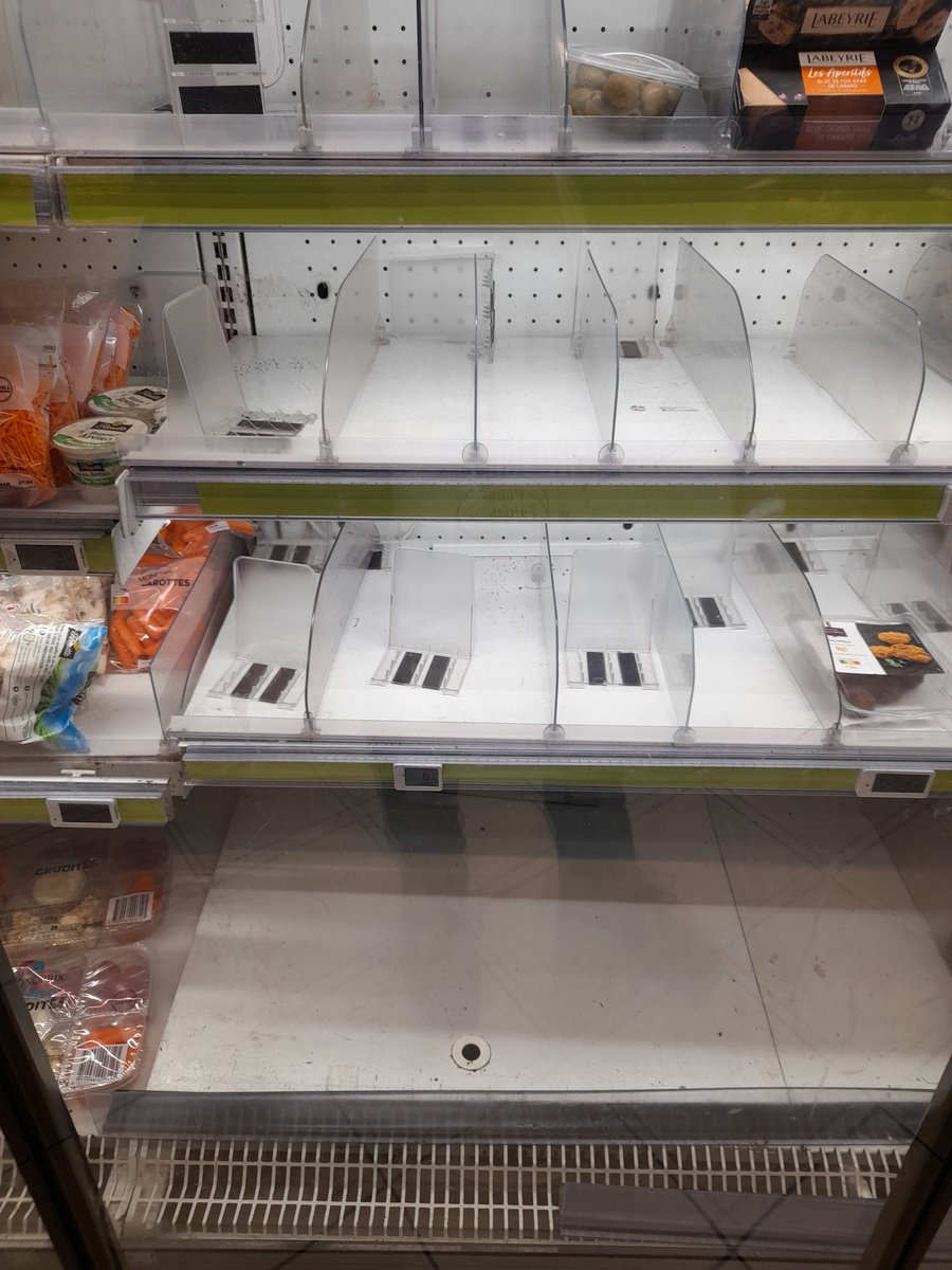 Fred 🌈 🇨🇵 ☘️ tweet media