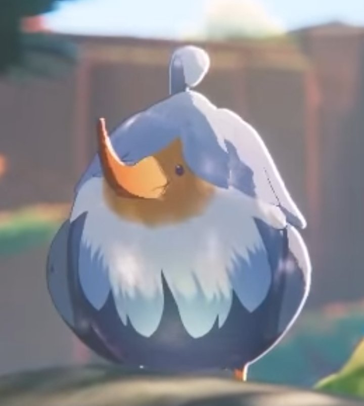 daily umbrellafinch🐦 tweet media