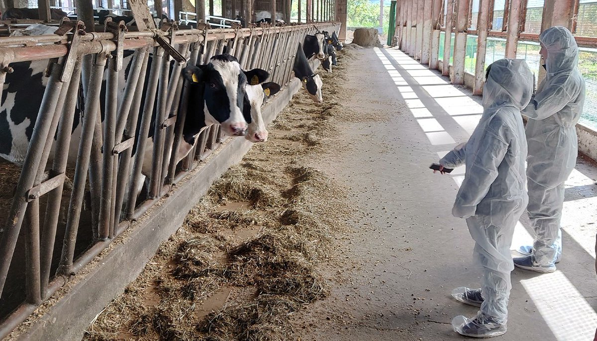 リコー / RICOH tweet media