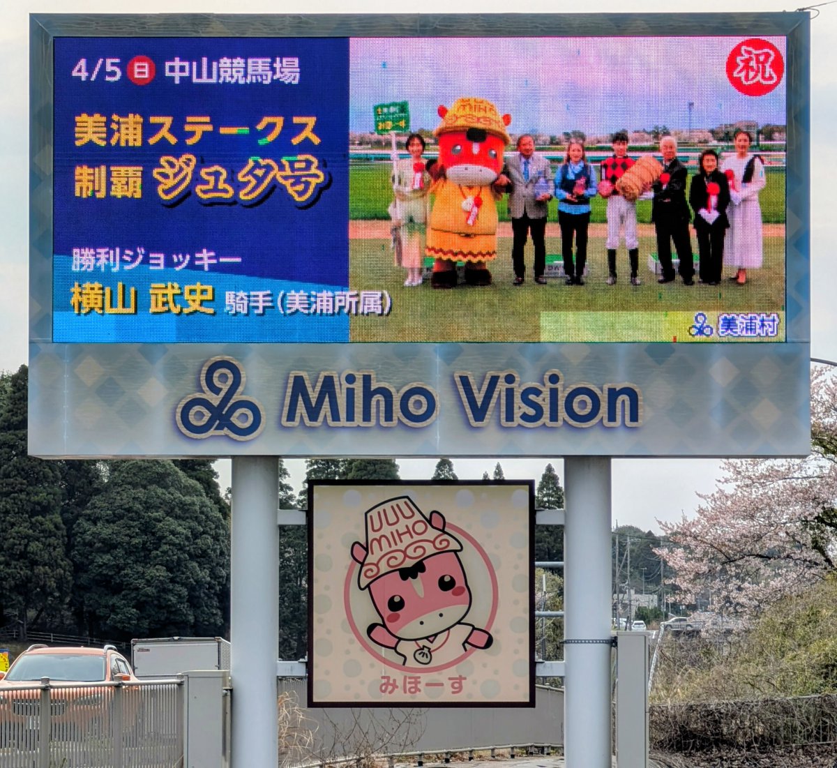 金子裕次郎(勝馬) tweet media