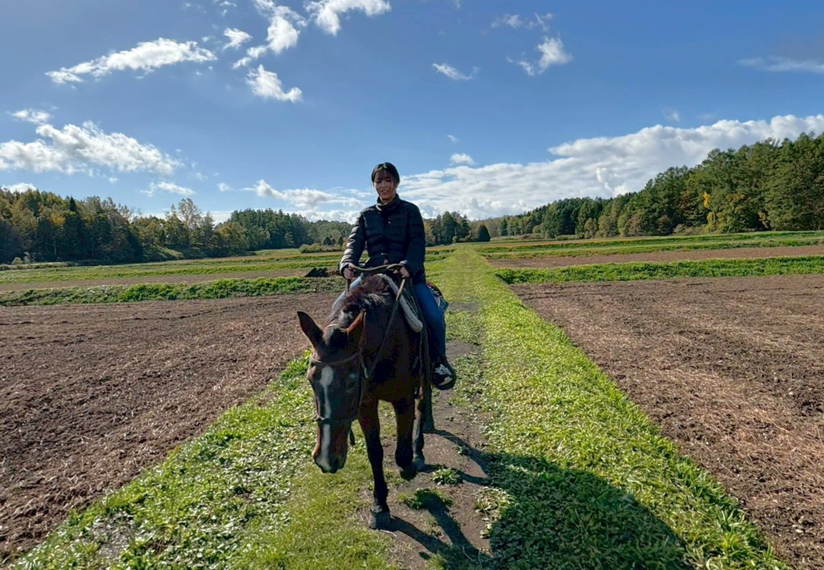 リコー / RICOH tweet media