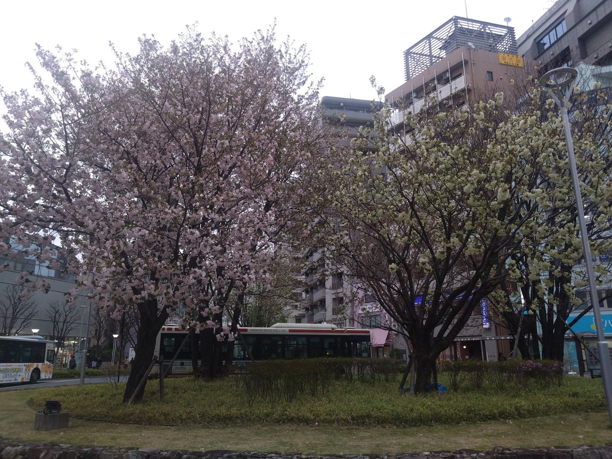 林田慎吾 tweet media