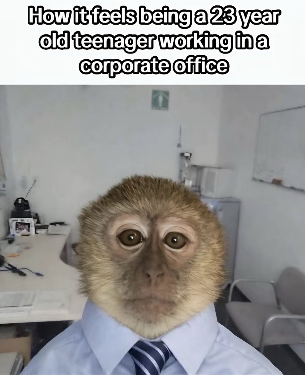 Lulyy👩🏻‍💻🎓 tweet media