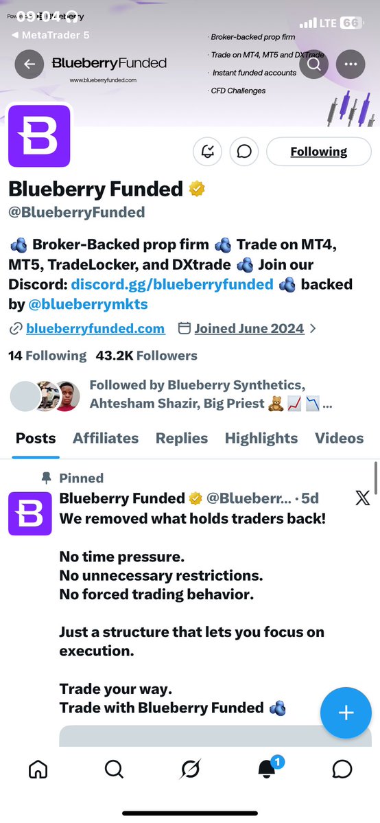 Vary🦅📊 tweet media